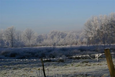 DSC01749 (Small).JPG