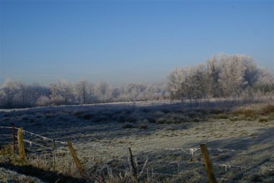 DSC01747 (Small).JPG