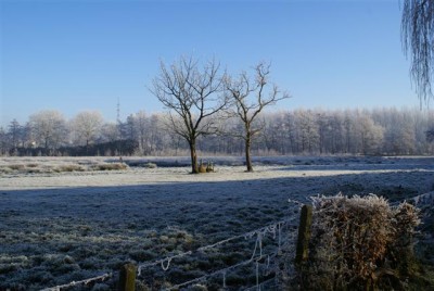 DSC01746 (Small).JPG