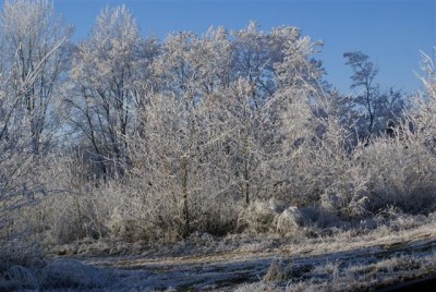 DSC01765 (Small).JPG