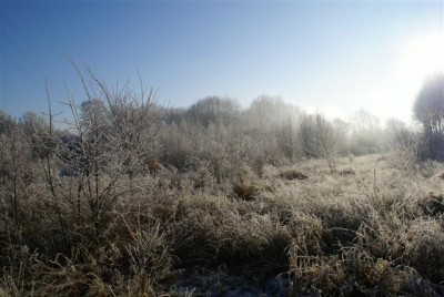 DSC01763 (Small).JPG