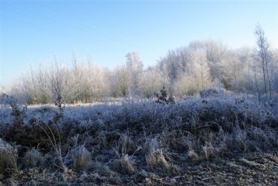 DSC01762 (Small).JPG