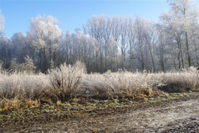 DSC01757 (Small).JPG