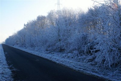 DSC01776 (Small).JPG