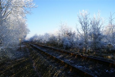 DSC01774 (Small).JPG