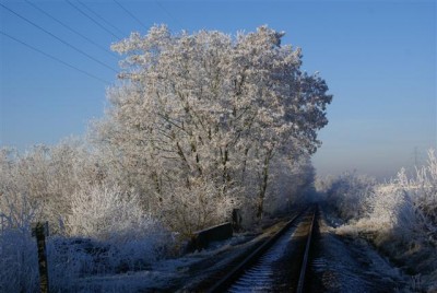 DSC01772 (Small).JPG