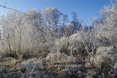 DSC01770 (Small).JPG