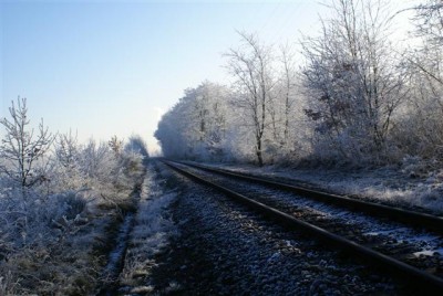 DSC01769 (Small).JPG