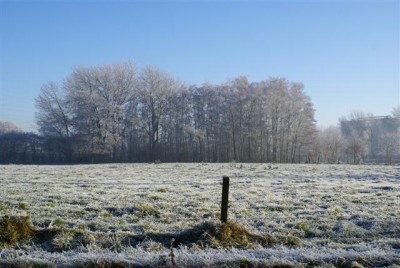 DSC01779 (Small).JPG