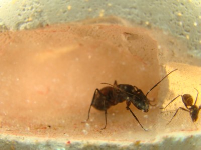 new camera photo's 029.jpg