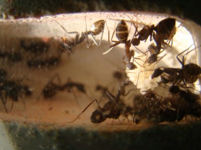 new camera photo's 016.jpg