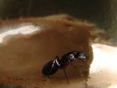 new camera photo's 041.jpg