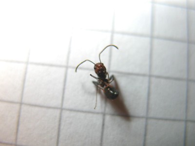 IMG_3347 (2) (2).jpg