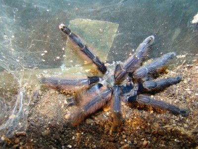 new camera photo's 030.jpg