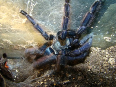 new camera photo's 022.jpg