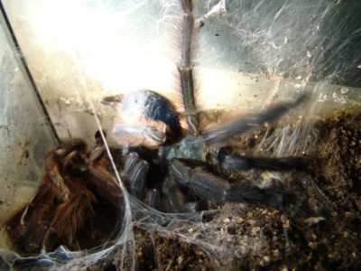 new camera photo's 024.jpg