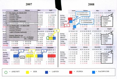Übersicht Entwicklung.jpg