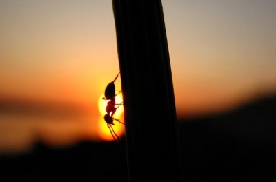 untitled2.jpg (13.21 KiB) 2922-mal betrachtet untitled2.jpg