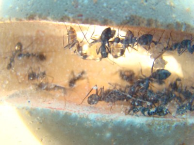 new camera photo's 083.jpg