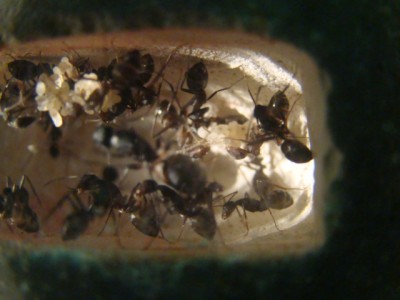 new camera photo's 114.jpg