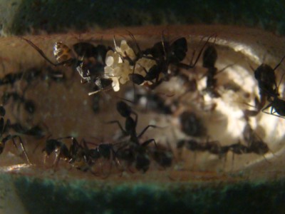 new camera photo's 115.jpg