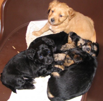 All in the basket.. / IMG_0151.JPG IMG_0151.JPG