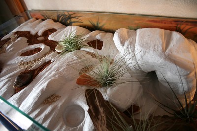 formicarium02.jpg