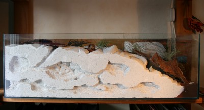 formicarium01.jpg