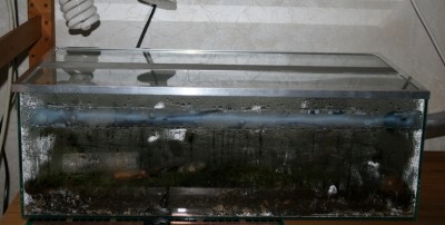 formicarium.jpg