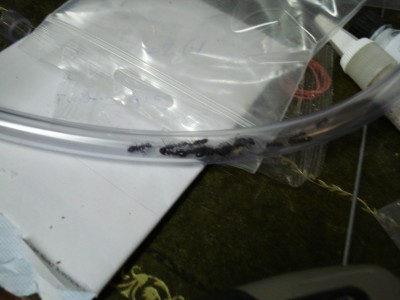 Hate the new house.JPG