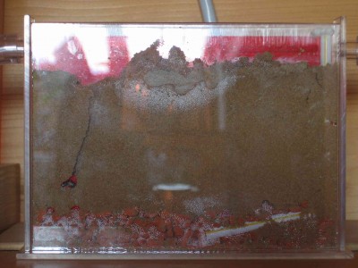 Farm mit Gang und Königin.jpg