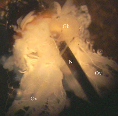 4-steven_5 tx web.jpg