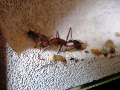 0002.jpg (168.67 KiB) 7866-mal betrachtet 0002.jpg