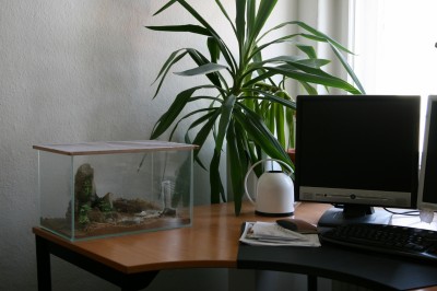 IMG_2088 - Kopie.JPG