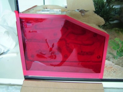 neuesformicarium 012.jpg