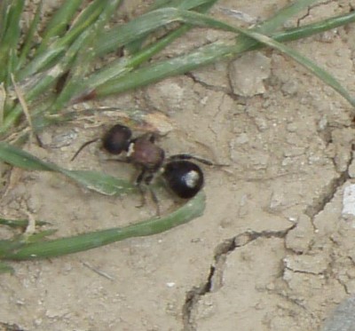 Tag7_PuerteLaReina (20).JPG