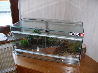 P1010670 (Large).JPG