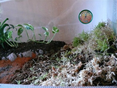 P1010675 (Large).JPG