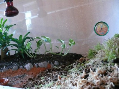 P1010677 (Large).JPG