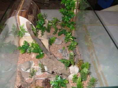 formicarium6.jpg (261.76 KiB) 10237-mal betrachtet formicarium6.jpg