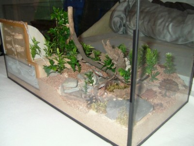 formicarium5.jpg (239.66 KiB) 9878-mal betrachtet formicarium5.jpg