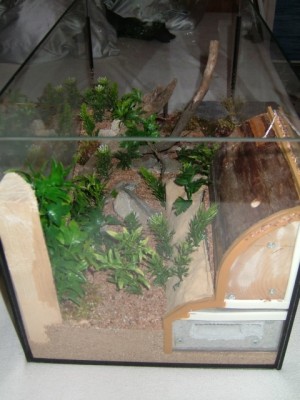 formicarium4.jpg (241.92 KiB) 9919-mal betrachtet formicarium4.jpg