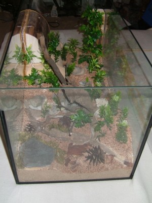 formicarium3.jpg (252.5 KiB) 10300-mal betrachtet formicarium3.jpg