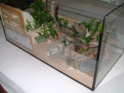 formicarium2.jpg (240.02 KiB) 10487-mal betrachtet formicarium2.jpg