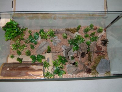 formicarium1.jpg (258.99 KiB) 10024-mal betrachtet formicarium1.jpg