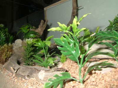 formicarium14.jpg