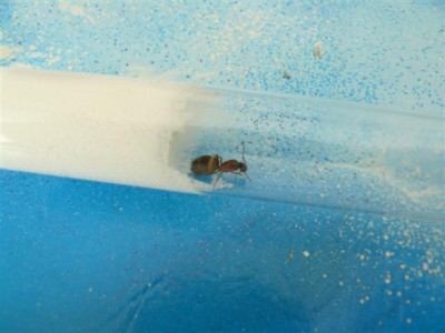 P1000726 (Small).JPG