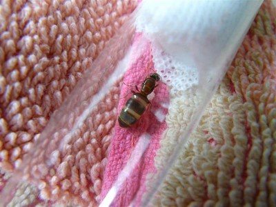 P1000769 (Medium).JPG