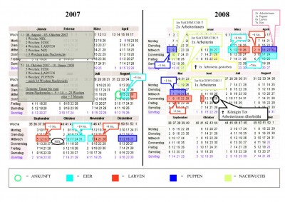 KALENDER für Ameisen, 26.06.08.jpg