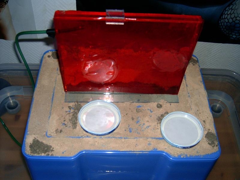 Zazinikki's Insel marke Eigenbau (Ant Island)